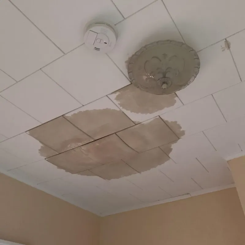 Ceiling Water Damage Repair in Jackson, OH
