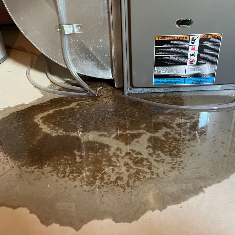 Pipe Burst and Leak Restoration in Jackson, OH