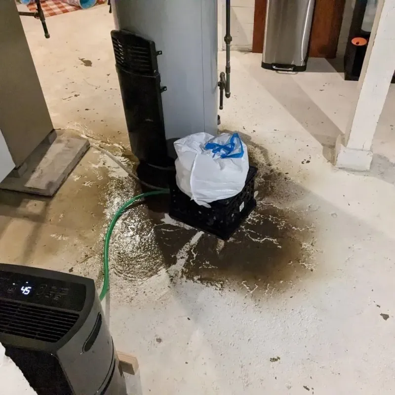 Sewage Backup Cleanup Service in Jackson, OH
